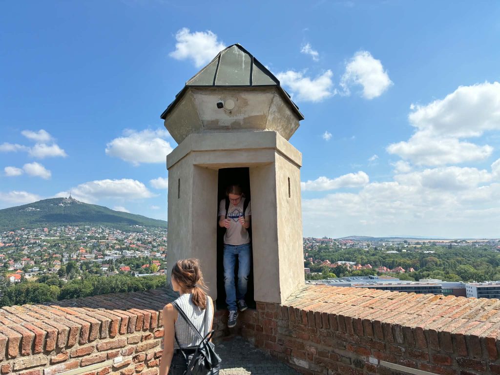 d9d58a4b-20bb-444f-ac86-e7ac9bd2b711