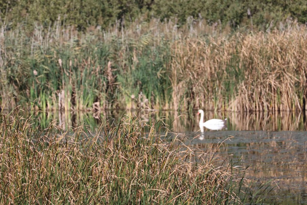 IMG_9031
