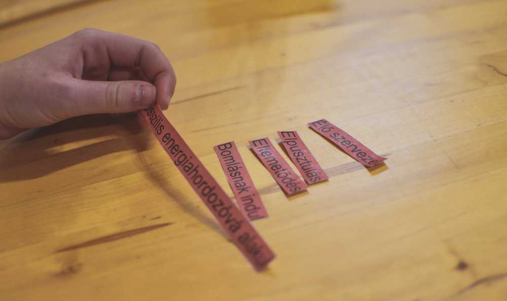 10-28_projektnap_retuskicsi_28