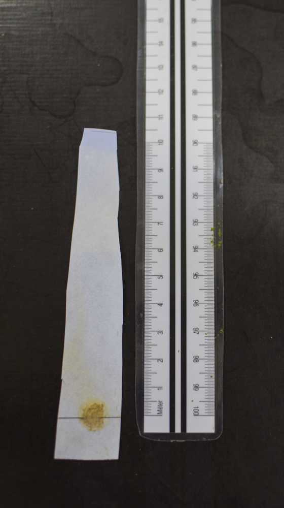10-28_projektnap_retuskicsi_51
